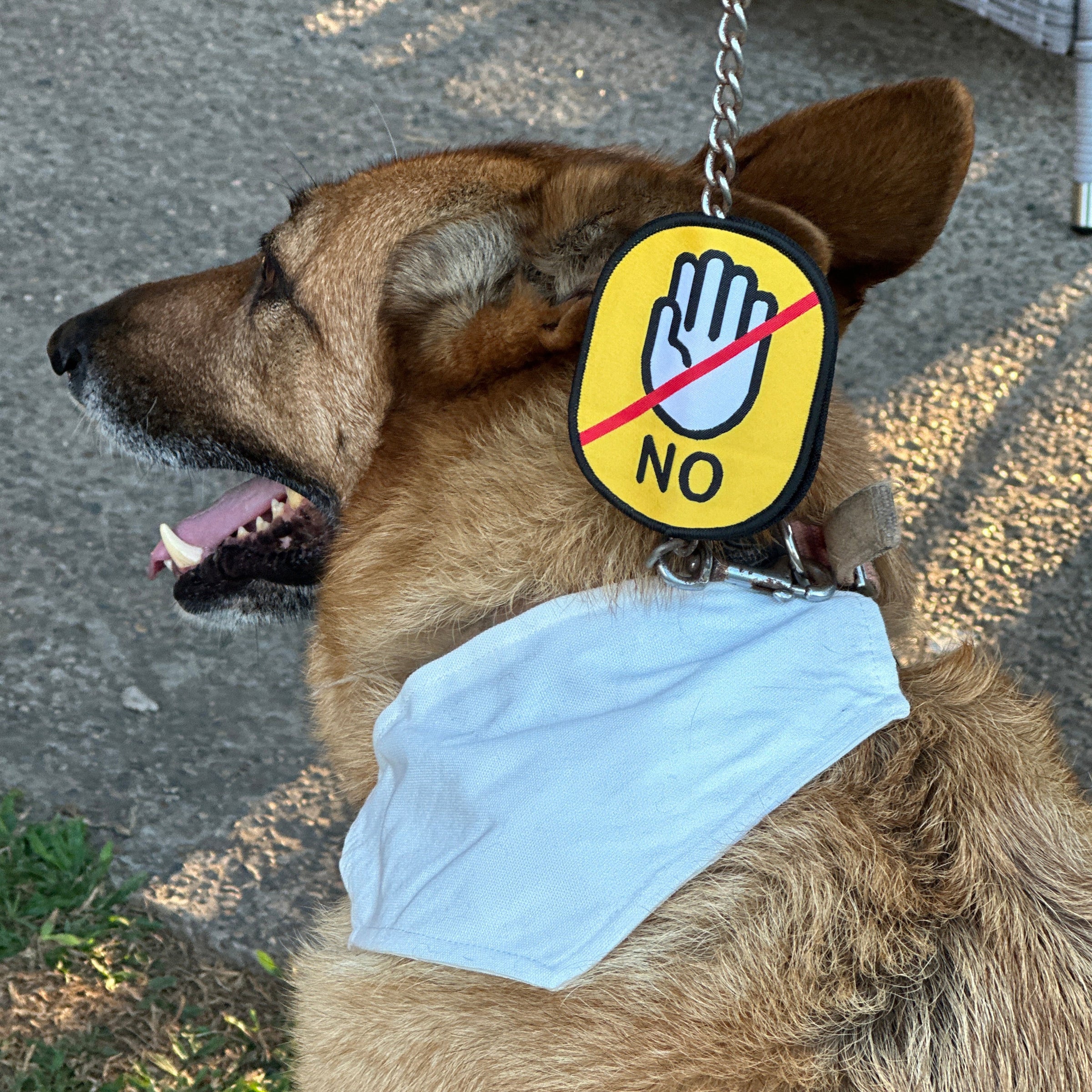 Dog Pet Leash Do Not Touch Sign Velcro Double Sided Tag