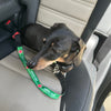 Dog Car Seat Leash - Personalise Me!